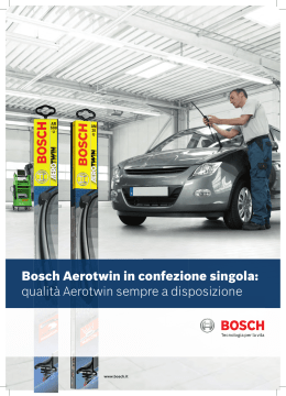 pdf, 2,5Mb - Formula Bosch