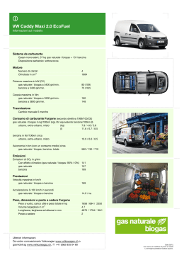 VW Caddy Maxi 2.0 EcoFuel