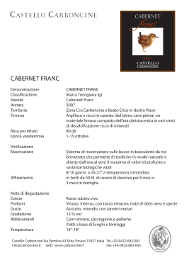 it cabernet franc - Castello Carboncine