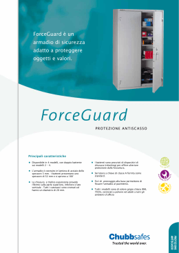ForceGuard - Casseforti Lips Vago