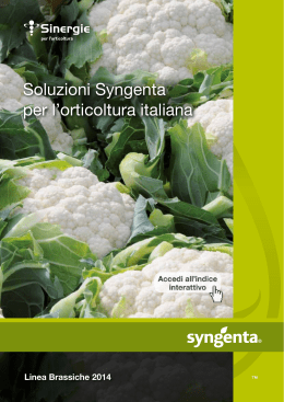 Soluzioni Syngenta per l`orticoltura italiana