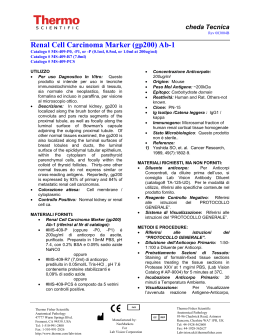 Renal Cell Carcinoma Marker (gp200) Ab-1 - Bio