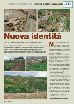Nuova identità - Il Verde Editoriale