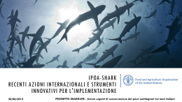 FAO: IPOA-Shark