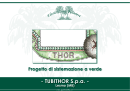 TUBITHOR S.p.a. - Floricoltura Palmieri