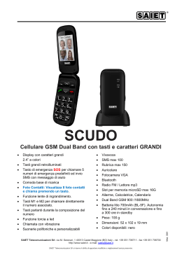 Cellulare GSM Dual Band con tasti e caratteri