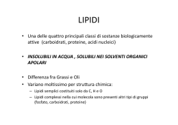 Lipidi 2013-14