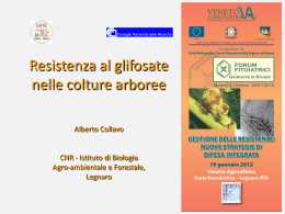 Resistenza al Glifosate nelle colture arboree Alberto Collavo CNR