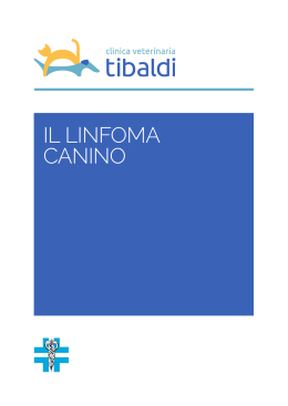 IL LINFOMA CANINO - Clinica Veterinaria Tibaldi
