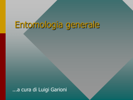 Entomologia generale2