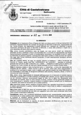 26/04/2011 - Comune di Castelvetrano Selinunte