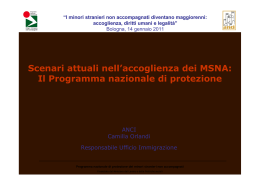 Scenari attuali nell`accoglienza dei MSNA: Il Programma nazionale