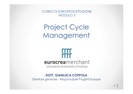 Project Cycle Management pdf 356,8 Kb