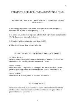 Fans approfondimenti (pdf, it, 2098 KB, 11/9/06)