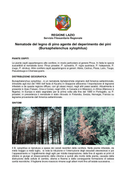 Nematode del legno di pino agente del deperimento dei pini