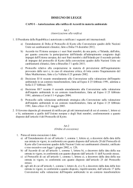 Il testo del Disegno di Legge (in formato pdf)