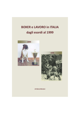 BOXER e LAVORO in ITALIA dagli esordi al 1999