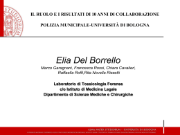 Elia Del Borrello - Comune di Bologna