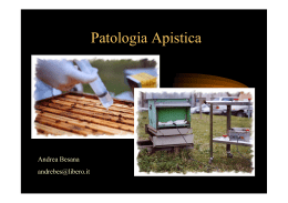 Patologia Apistica