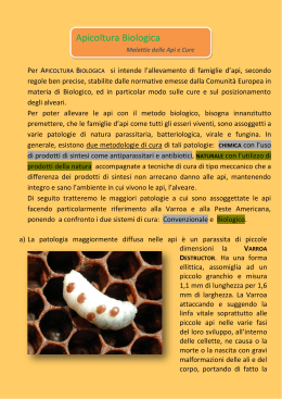 Apicoltura Biologica - Bomboniereartistiche.it