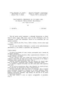 Acta n.11-1965 articolo 11