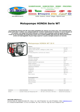 Motopompe HONDA Serie WT