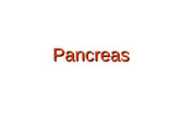 Apparato digerente - Pancreas