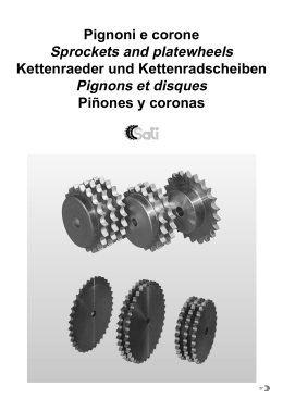 Sprockets and platewheels Pignons et disques - Laakeri