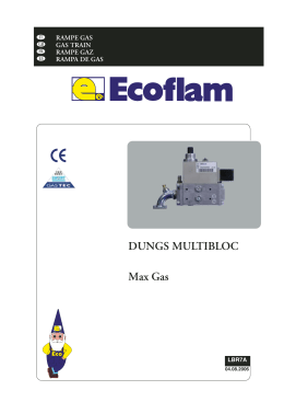 DUNGS MULTIBLOC Max Gas