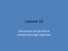 10_Dimensioni del genoma