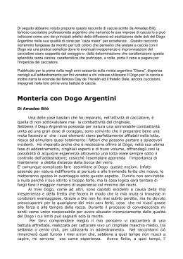 Caccia con Dogo Argentini A. Bilo x forum