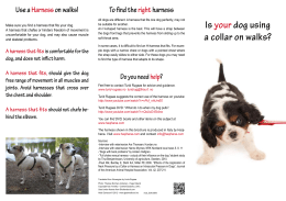 Is your dog using a collar on walks?