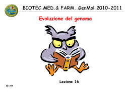 16 BIOTEC GenMol 10_11 evoluz genoma