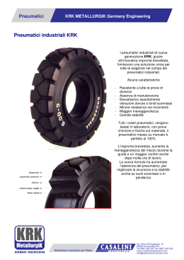 Scheda pneumatici carrelli con caratteristiche e specifiche