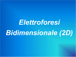 Elettroforesi Bidimensionale (2D)