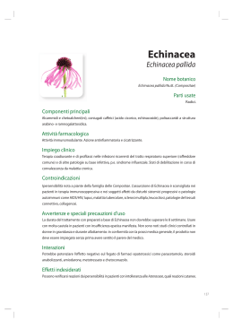 Echinacea - Piante medicinali: Indice