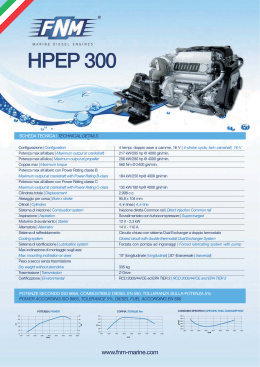 HPEP 300