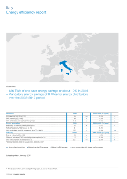 Italy Energy efficiency report