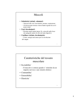 Muscoli Caratteristiche del tessuto muscolare
