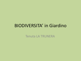 Biodiversità - Fiori e piante nella Tenuta LA TRUNERA