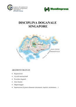 disciplina doganale singapore