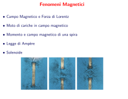 Fenomeni Magnetici