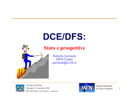 DCE/DFS: stato e prospettive