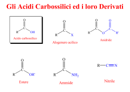 Gli Acidi Carbossilici ed i loro Derivati