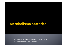 7a lezione - metabolismo batterico