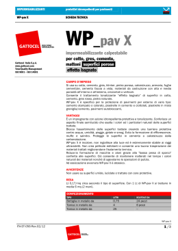 scheda tecnica WP-pav X pdf