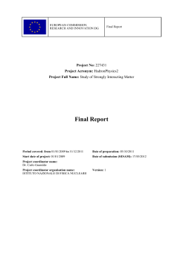 Final Report - Hadron Physics 2
