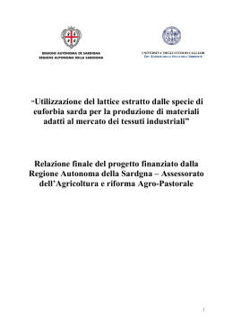 Relazione finale - Dipartimenti - Università degli studi di Cagliari.