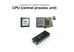 CPU (central process unit)