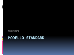 Modello standard